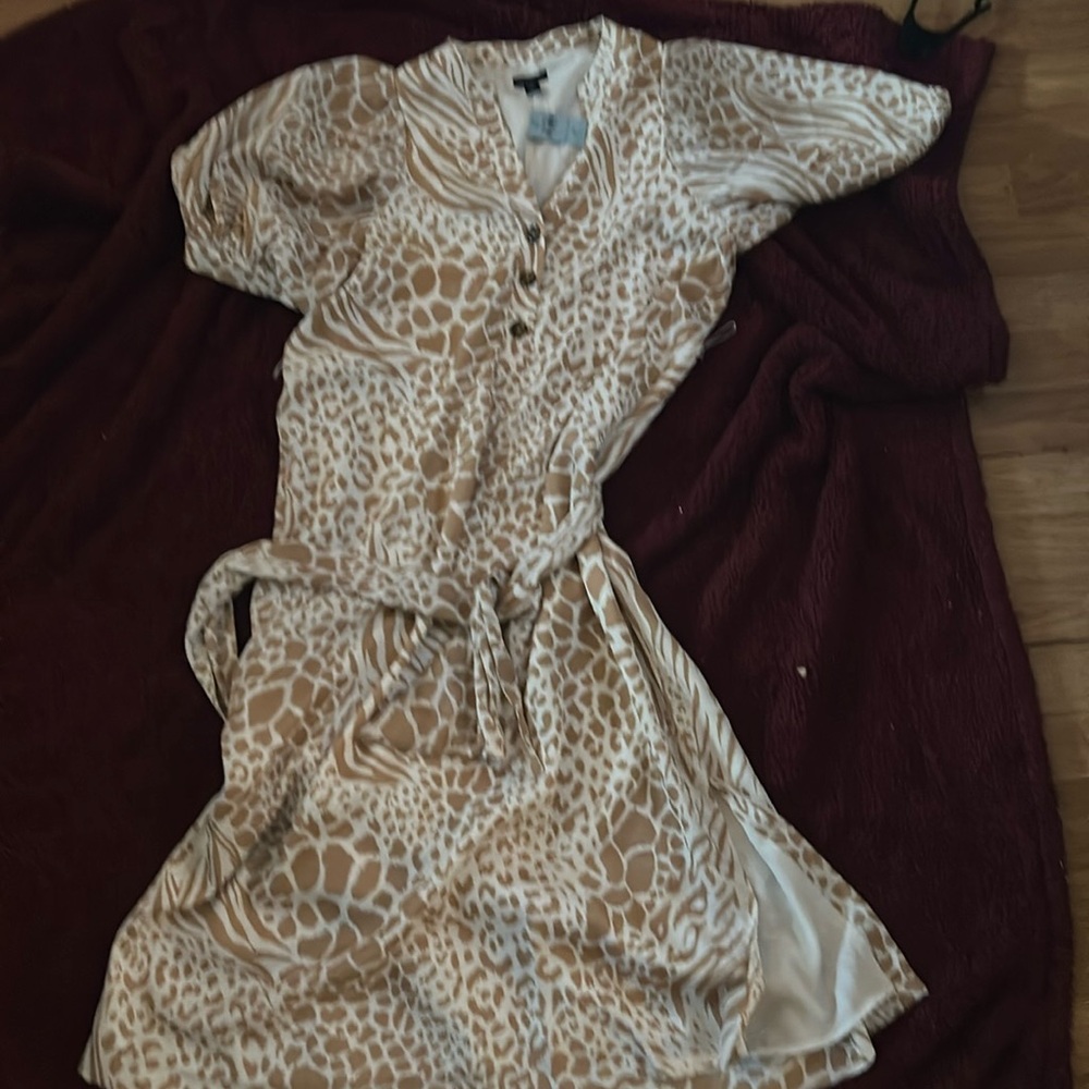 Ann Taylor dress
